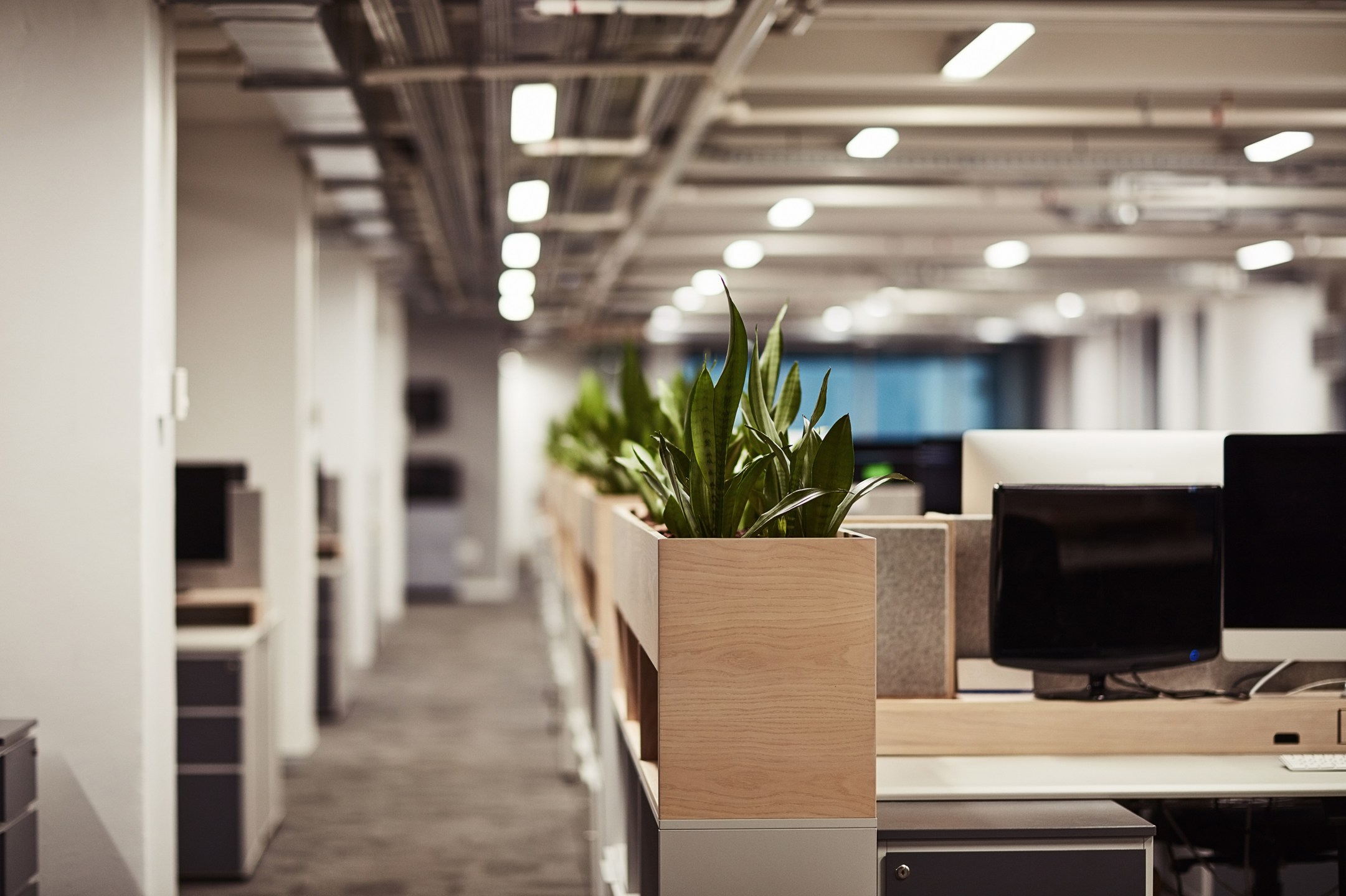 empty-office-interior-design-creative-business-co-working-space-computer-agency-furniture-building-plants-minimal-workspace-designer-startup-digital-tech-cubicle-layout (Copy)